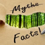 Environmental Impact of Paper Production: Myths vs. Reality