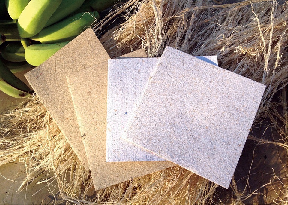 Everything You Need To Know About Banana Fibre Paper
